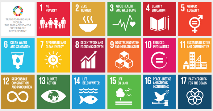 Sustainable Development Goals (SDGs)
